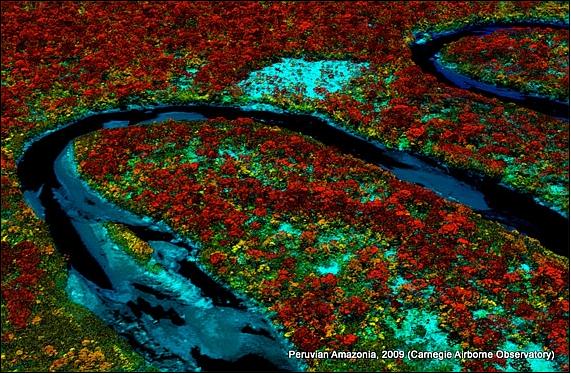 Figure 5: High-resolution example of forest structure (Tambopata rainforest in Peru) as mapped by the CAO Alpha LiDAR (image credit: Carnegie Institution) 7)