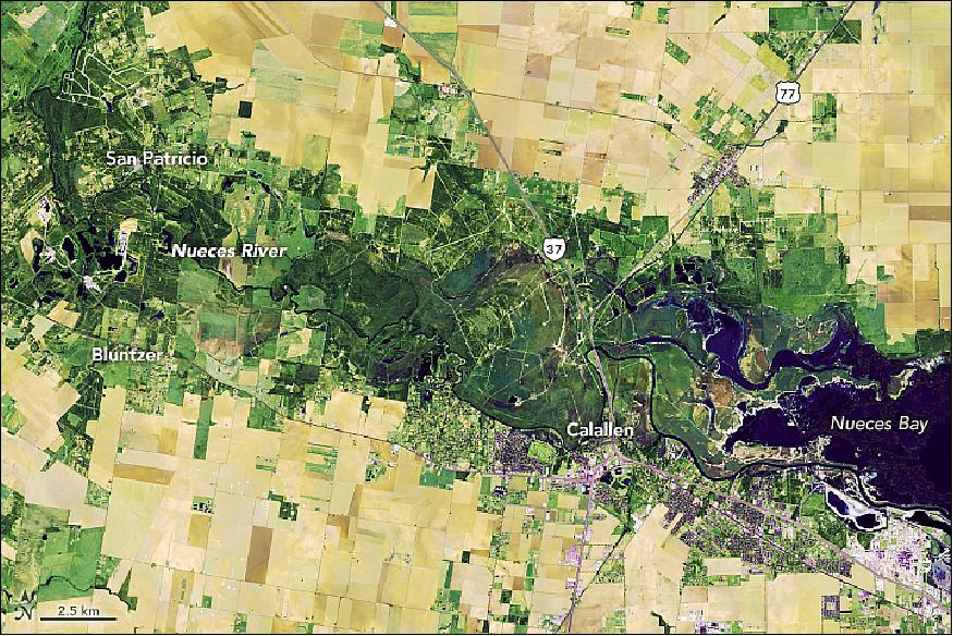 Figure 11: OLI map of the Nueces River region in Texas acquired on 1 October 2018 (image credit: NASA Earth Observatory, image by Joshua Stevens, using Landsat data from the U.S. Geological Survey, story by Adam Voiland)