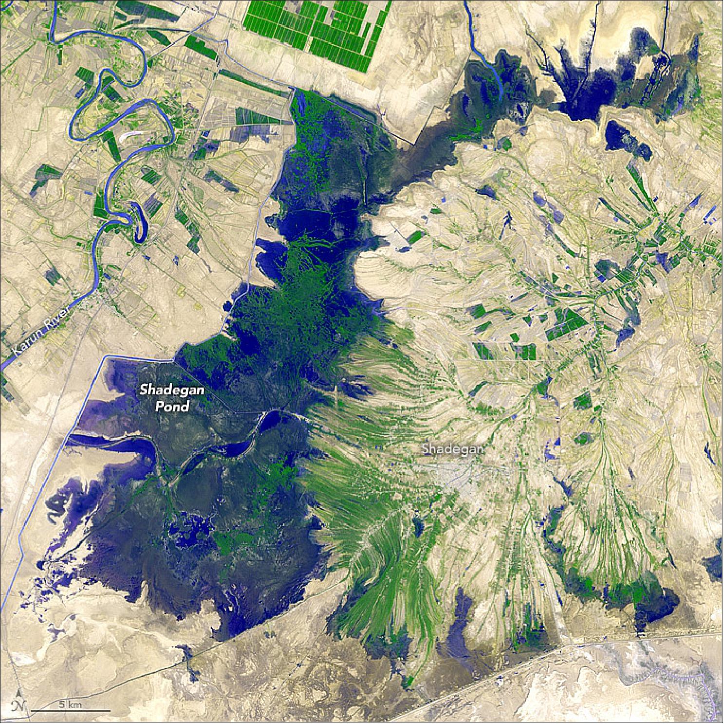 Figure 75: Image of the Shadegan Pond in Iran, acquired on September 3, 2012 with the ASTER (Advanced Spaceborne Thermal Emission and Reflection Radiometer) of JAXA on the NASA's Terra satellite (image credit: NASA Earth Observatory image by Jesse Allen, caption by Adam Voiland)