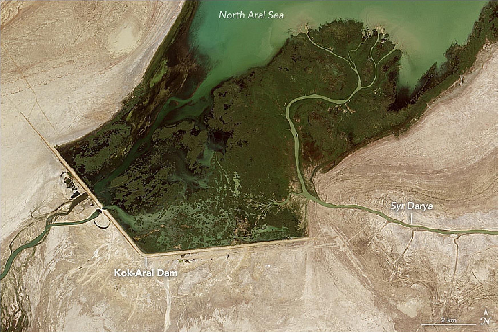 Figure 62: A further detail image of the North Aral Sea was acquired on Aug. 5, 2017 with OLI on Landsat-8. At the time, the sluice gates at the Kok-Aral Dam appeared to be open, and water was flowing past the Tsche-Bas Gulf and into the South Aral Sea ( (image credit: NASA Earth Observatory image by Jesse Allen,using Landsat-8 data from the USGS, Story by Adam Voiland)