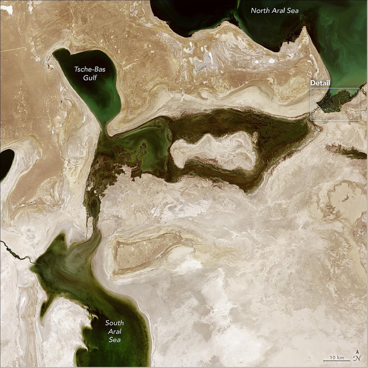 Figure 61: This detail image the the Aral Sea was acquired on Aug. 5, 2017, with OLI on Landsat-8 (image credit: NASA Earth Observatory image by Jesse Allen,using Landsat-8 data from the USGS, Story by Adam Voiland)