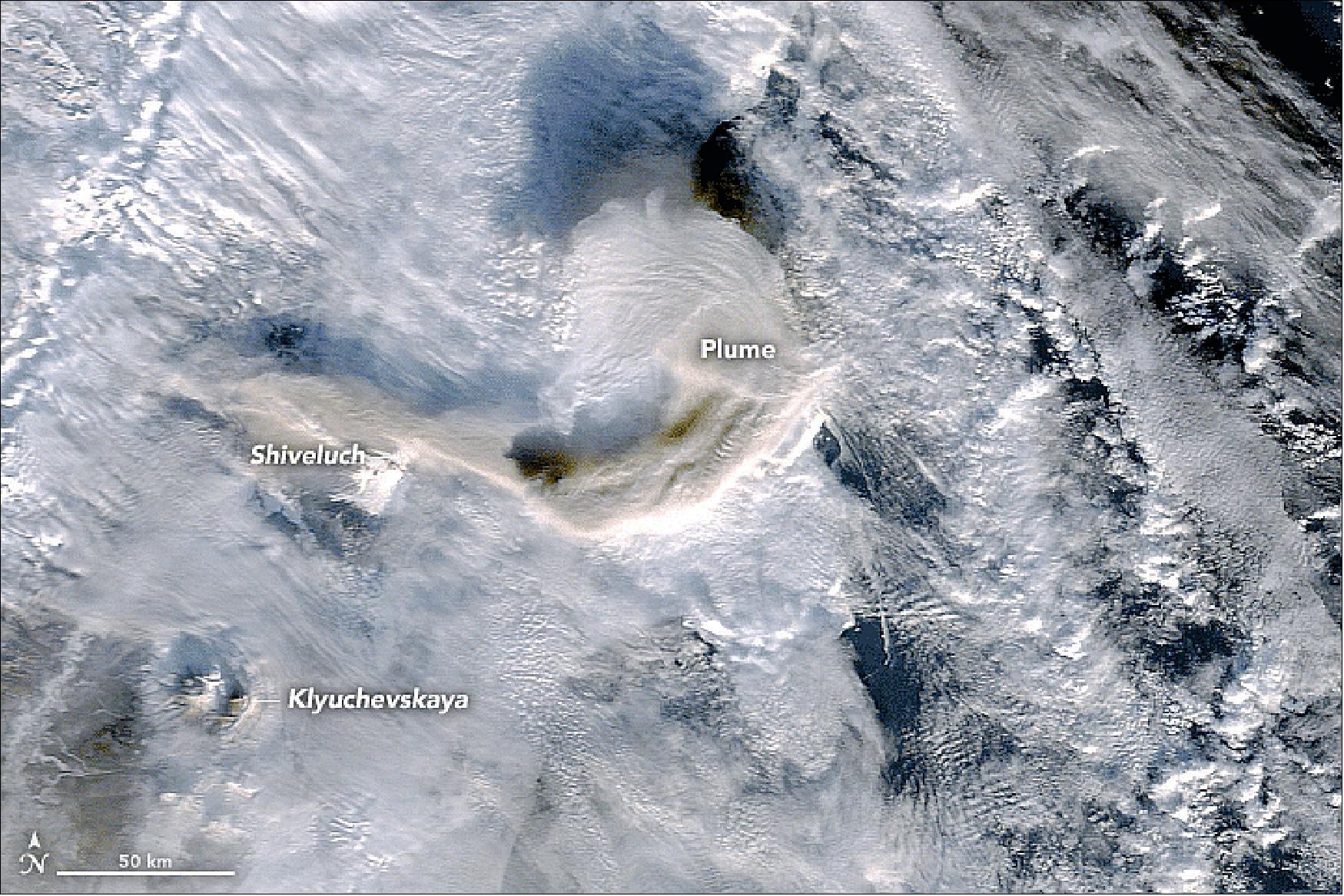 Figure 40: The MODIS instrument on Terra observed the plumes rising from the Shiveluch and Klyuchevskaya volcanos on January 9 (image credit: NASA Earth Observatory, image by Joshua Stevens and Jeff Schmaltz, using MODIS data from LANCE/EOSDIS Rapid Response. Story by Michael Carlowicz)