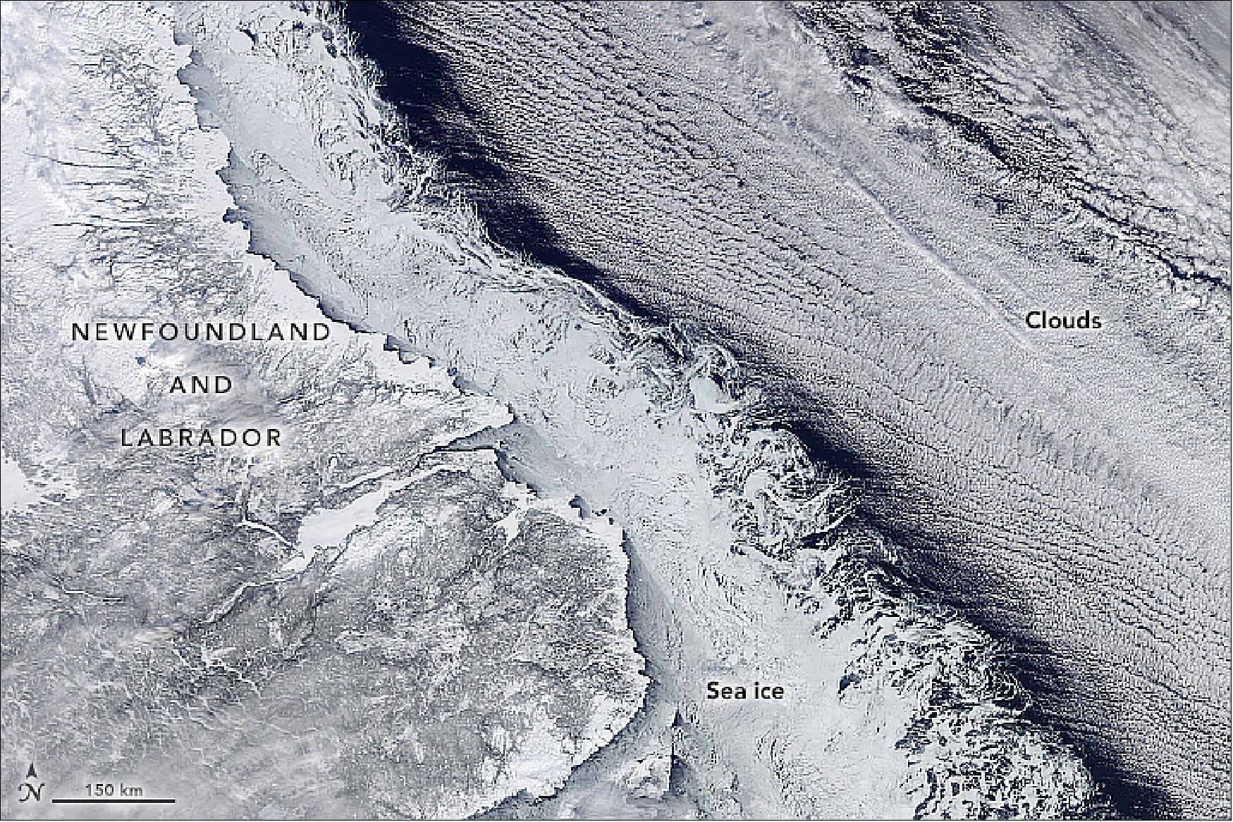 Figure 32: This MODIS image was acquired on 18 Feb. 2018 showing the coastline of Newfoundland and Labrador, the sea ice edge, and offshore clouds all present a clear edge to distinguish one from the next (image credit: NASA Earth Observatory, image by Jeff Schmaltz, LANCE/EOSDIS Rapid Response. Story by Mike Carlowicz, with image interpretation from Walt Meier, NSIDC, and Claire Parkinson, NASA/GSFC)