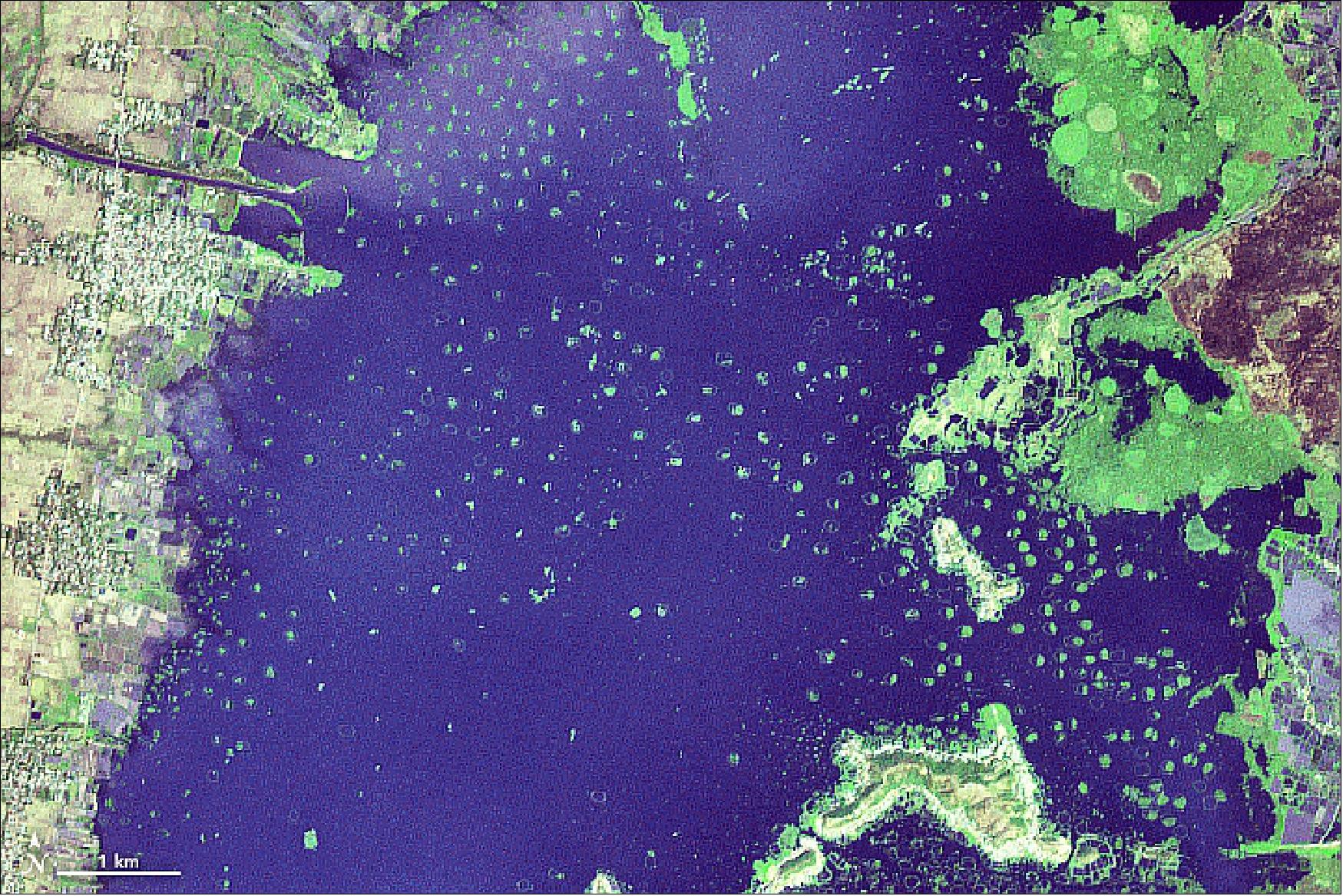 Figure 25: The satellite images of Loktak Lake (Figures 25 and 26) were acquired on March 19, 2018, by ASTER (Advanced Spaceborne Thermal Emission and Reflection Radiometer) on the Terra satellite (image credit: NASA Earth Observatory, images by Joshua Stevens, using data from NASA/GSFC/METI/ERSDAC/JAROS, and U.S./Japan ASTER Science Team, story by Kasha Patel)