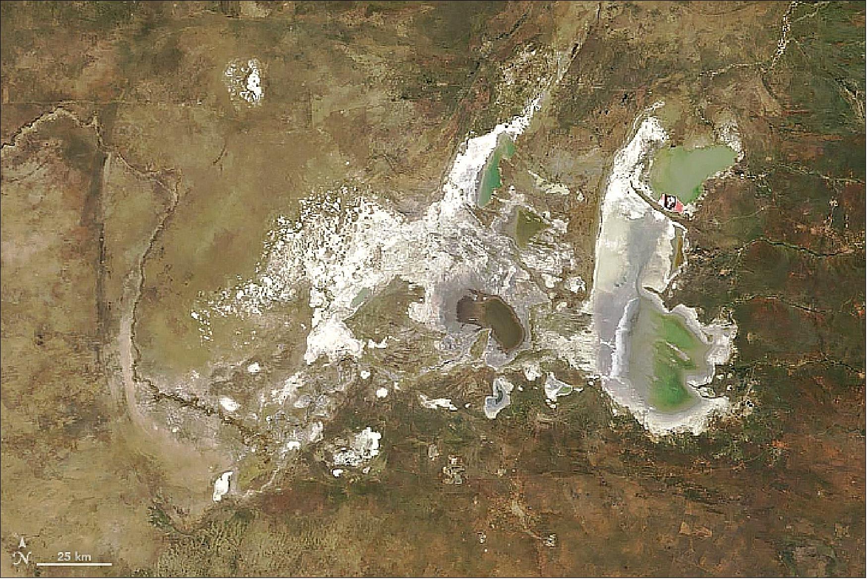 Figure 22: On June 10, 2018, the MODIS instrument on NASA’s Terra satellite acquired this natural-color image of the Makgadikgadi Salt Pans. The collection of salt flats covers roughly 30,000 km2 amidst desert and dry savanna in Botswana. Located in Makgadikgadi National Park and Nxai Pan National Park, the salt pans are rivaled in extent only by the Salar de Uyuni in Bolivia (image credit: NASA Earth Observatory, image by Joshua Stevens, using MODIS data from LANCE/EOSDIS Rapid Response, story by Mike Carlowicz)