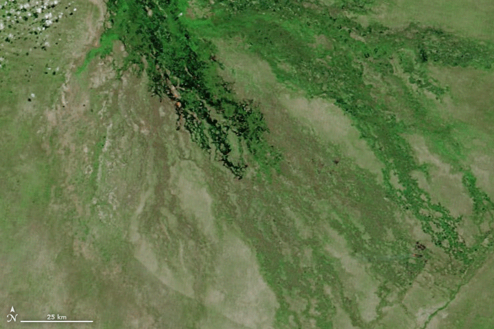 Figure 68: MODIS instruments on NASA’s Aqua and Terra satellites acquired this series of images between April 28 and May 23, 2018. The images were composed from a combination of visible and shortwave infrared light (MODIS bands 7-2-1). The burn scar appears dark brown; vegetation is bright green; bare ground is light brown; and water is dark blue (image credit: NASA Earth Observatory, image by Joshua Stevens, using MODIS data from LANCE/EOSDIS Rapid Response, story by Kathryn Hansen)