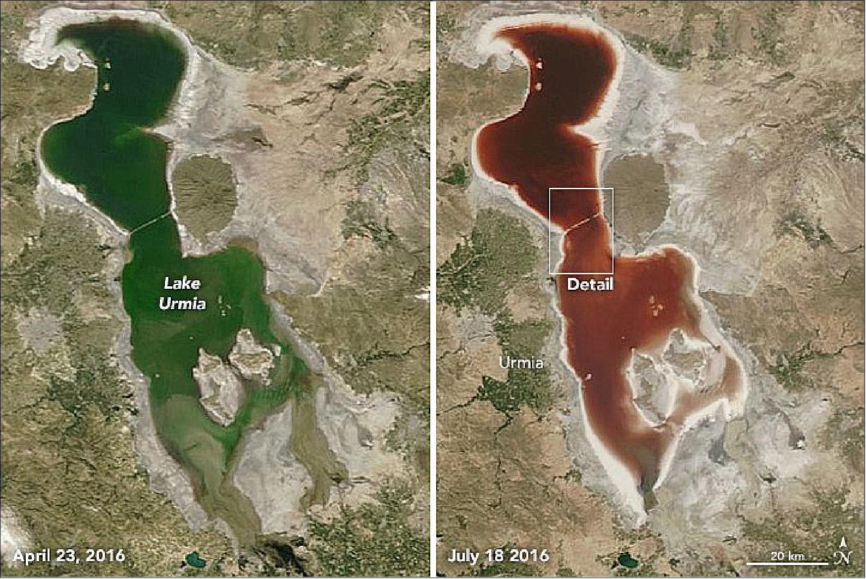 Figure 118: The MODIS instrument on Aqua recently captured a transition in the color of Lake Urmia between April and July 2016. On April 23, (left image) the water was green; by July 18, it was the color of wine. The shoreline is encrusted with salt deposits and appears white. Note that the ring of salt is especially noticeable in July, when water levels were lower (image credit: NASA Earth Observatory, images by Joshua Stevens)
