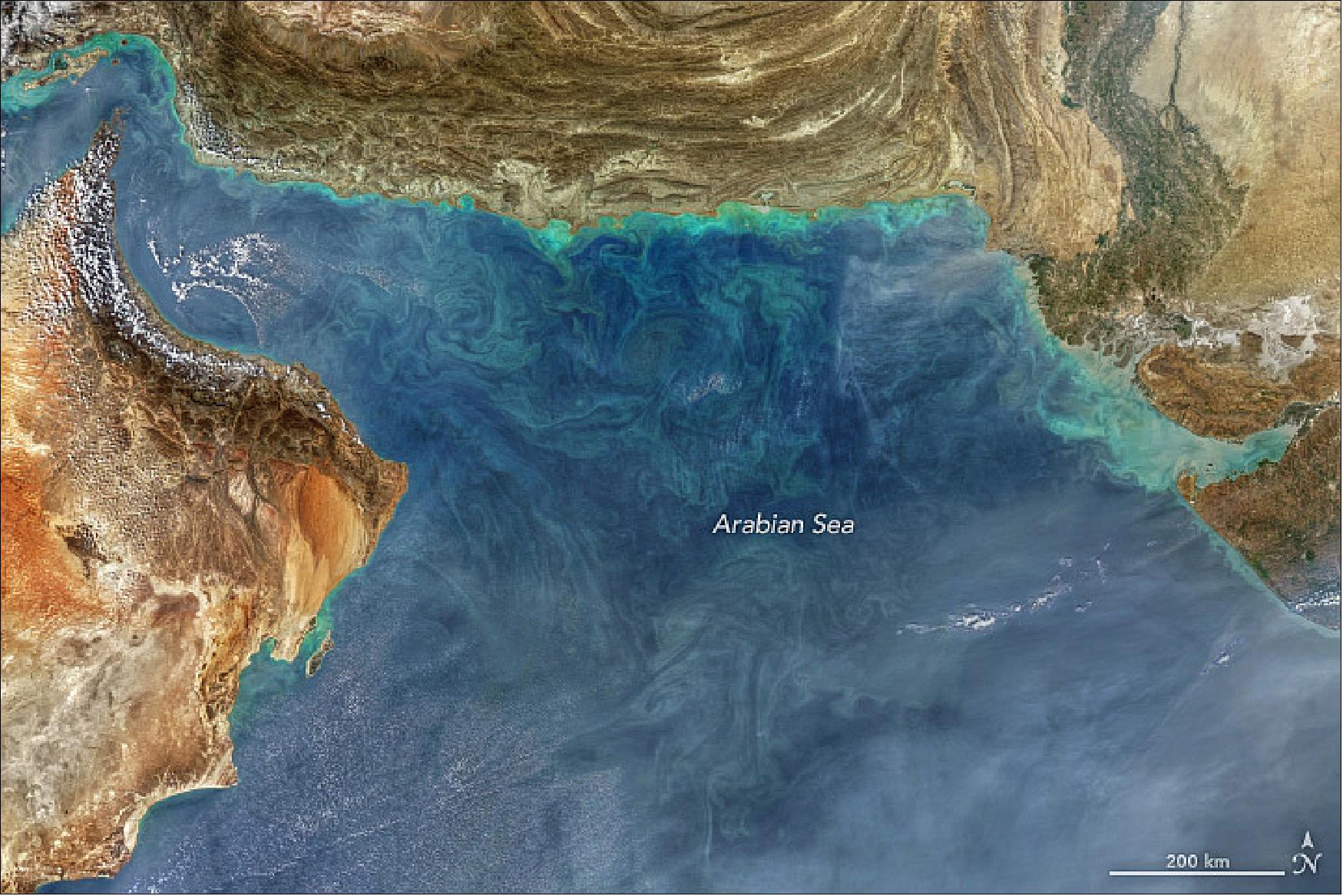 Figure 43: A colorful image of the Arabian Sea shows the various types of activities occurring in the waters, acquired with MODIS on Aqua on 23 November 2018 (image credit: NASA Earth Observatory, ocean imagery by Norman Kuring, NASA’s Ocean Color web. Story by Kasha Patel)
