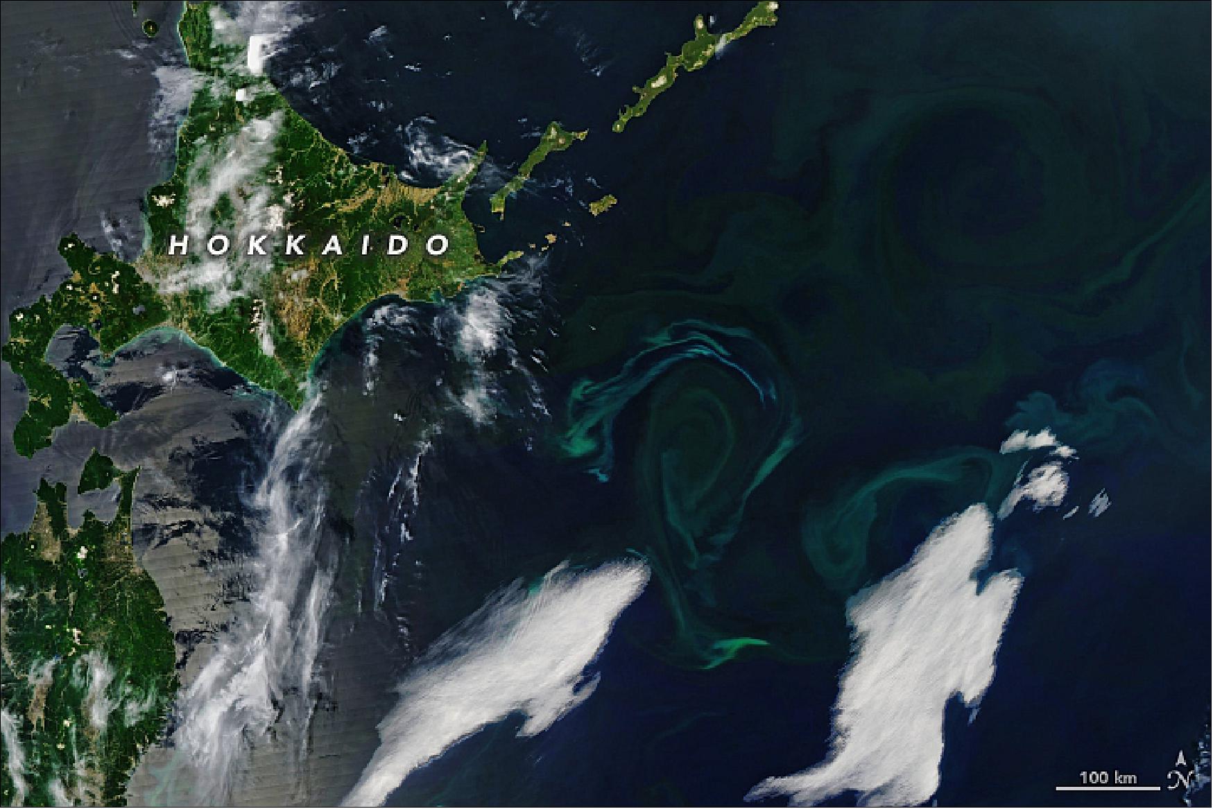 Figure 32: On May 26, the MODIS instrument on NASA’s Aqua satellite caught glimpses of vast blooms of phytoplankton. Their green and light blue tones traced the edges of swirling water masses, currents, and eddies (image credit: NASA Earth Observatory image by Joshua Stevens, using MODIS data from NASA EOSDIS/LANCE and GIBS/Worldview. Caption by Michael Carlowicz)