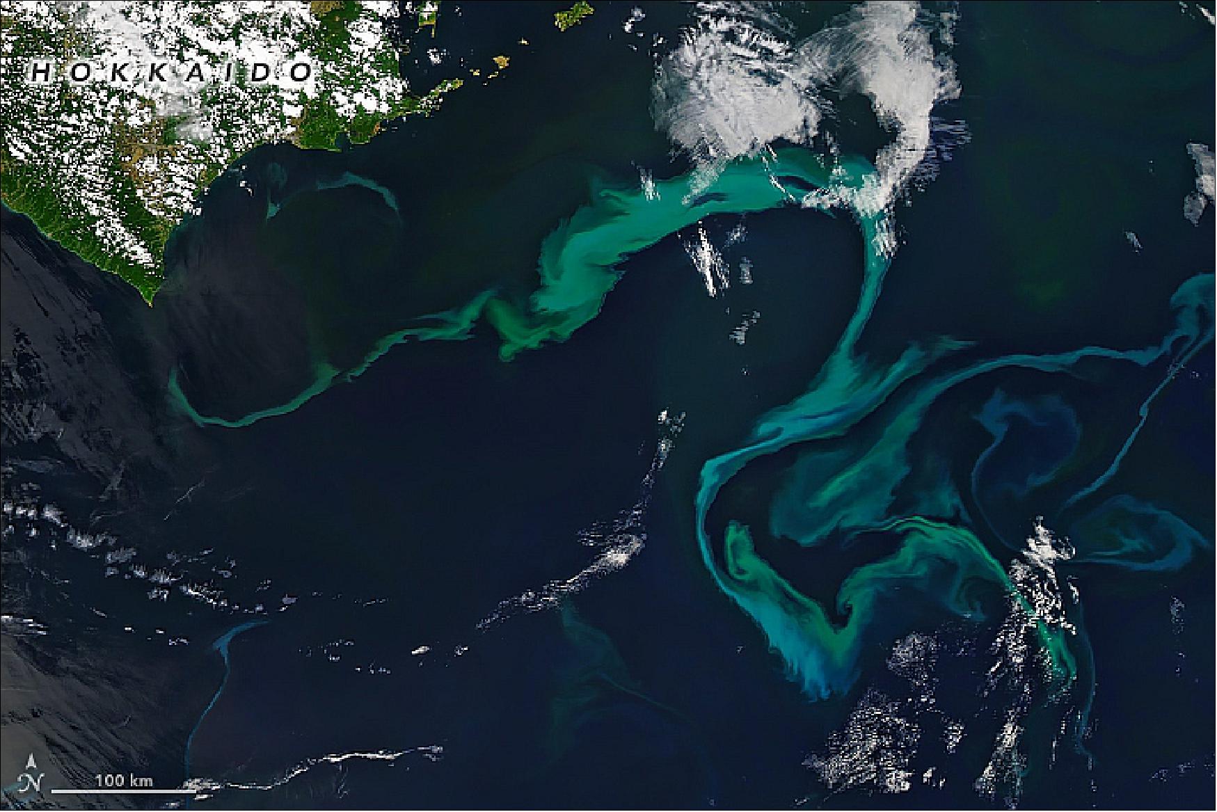 Figure 31: Off the coast of Hokkaido, Japan, there was a lot of primary production going on in late May and early June 2019. On June 2, the MODIS instrument on NASA’s Aqua satellite caught glimpses of vast blooms of phytoplankton. Their green and light blue tones traced the edges of swirling water masses, currents, and eddies (image credit: NASA Earth Observatory image by Joshua Stevens, using MODIS data from NASA EOSDIS/LANCE and GIBS/Worldview. Caption by Michael Carlowicz)