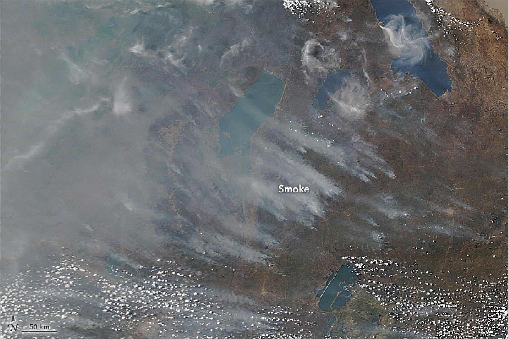 Figure 19: This satellite image shows smoke rising from the savanna of northern Zambia on August 29, 2018, around the time global emissions reach their maximum (image credit: NASA Earth Observatory, image by Lauren Dauphin, using MODIS data from NASA EOSDIS/LANCE and GIBS/Worldview. Story by Adam Voiland)