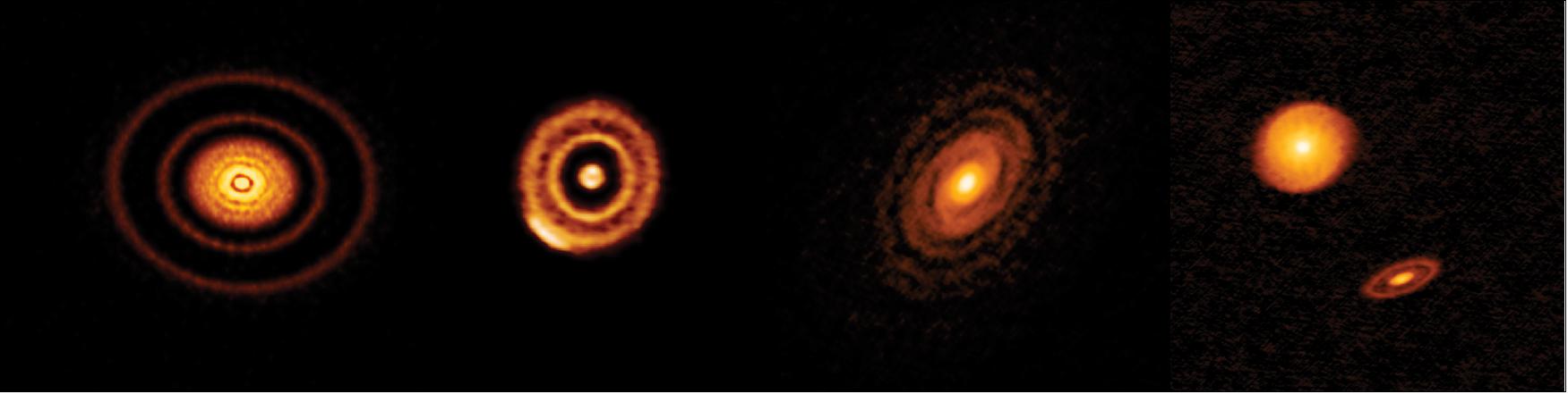 Figure 3: Four of the twenty disks that comprise ALMA's highest resolution survey of nearby protoplanetary disks. This image shows the millimeter-wavelength light emitted by the dust in the disk, giving astronomers a clearer understanding of the similarities and differences among the disks and what that has to say about planet formation (image credit: ALMA (ESO/NAOJ/NRAO), S. Andrews et al.; NRAO/AUI/NSF, S. Dagnello)