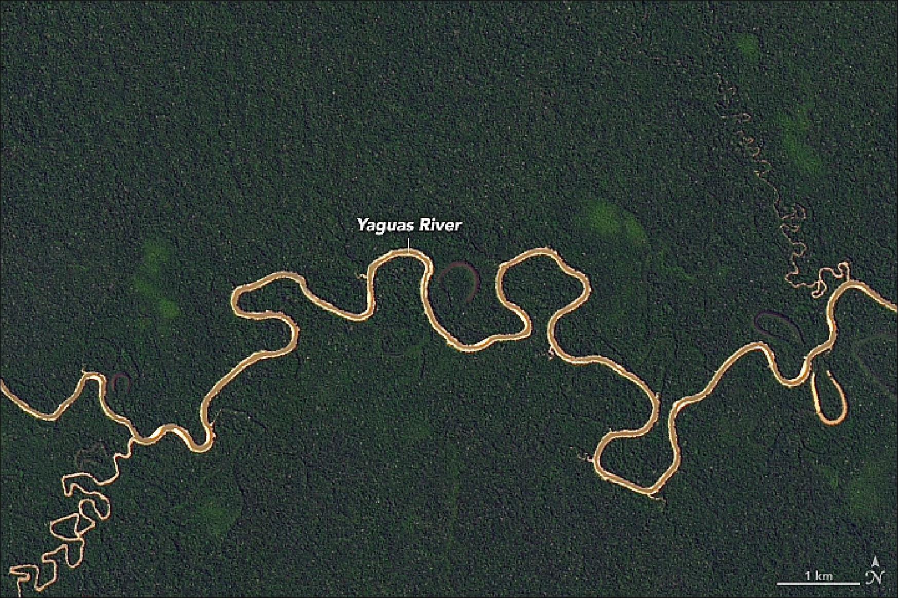 Figure 31: OLI image of the Yaguas River in the Yaguas National Park acquired on 16 Aug. 2017 (image credit: NASA Earth Observatory)