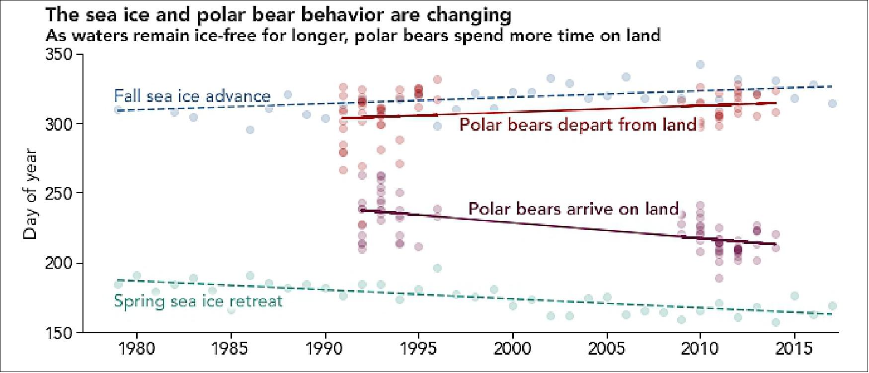 Figure 27: The graph shows the onshore arrival and departure of polar bears on Baffin Island relative to dates of sea ice advance and retreat. Sea ice has been breaking up earlier in the spring over the years (green) and is forming later in the fall (blue), image credit: NASA Earth Observatory, map by Joshua Stevens, using data courtesy of Kristin Laidre and Harry Stern at the University of Washington, and sea ice data from the National Snow & Ice Data Center (NSIDC). Story by Kasha Patel