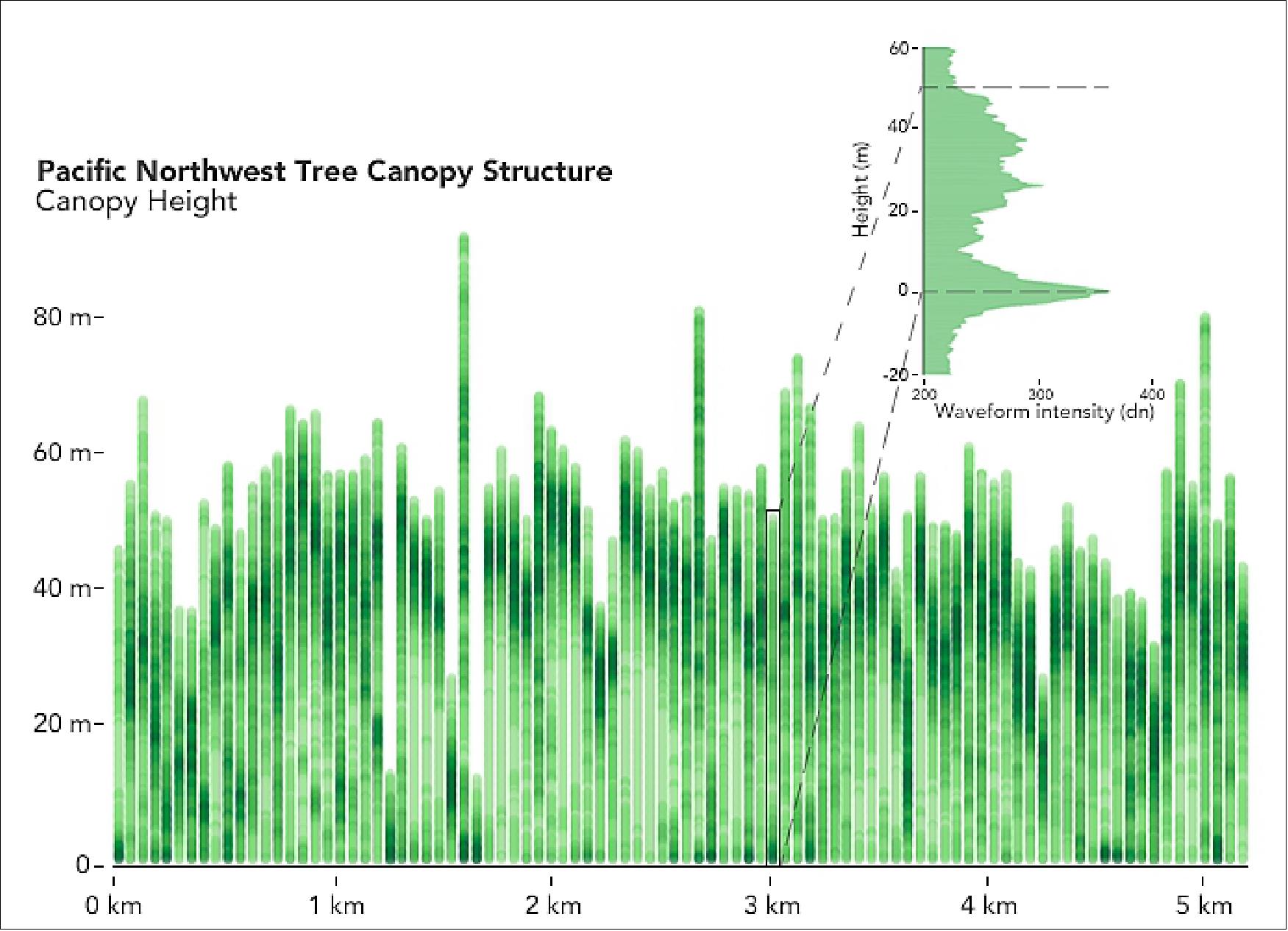 Figure 13: While forests in the Pacific Northwest (shown here) are tall and dense like those in the Amazon, taking a closer look at GEDI data shows structural variations between the two, including much taller trees in the Pacific Northwest. GEDI can "see" into the forest better than any other space-borne instrument, giving researchers clues to how the structures of Earth's forests differ (image credit: NASA Earth Observatory / Lauren Dauphin)