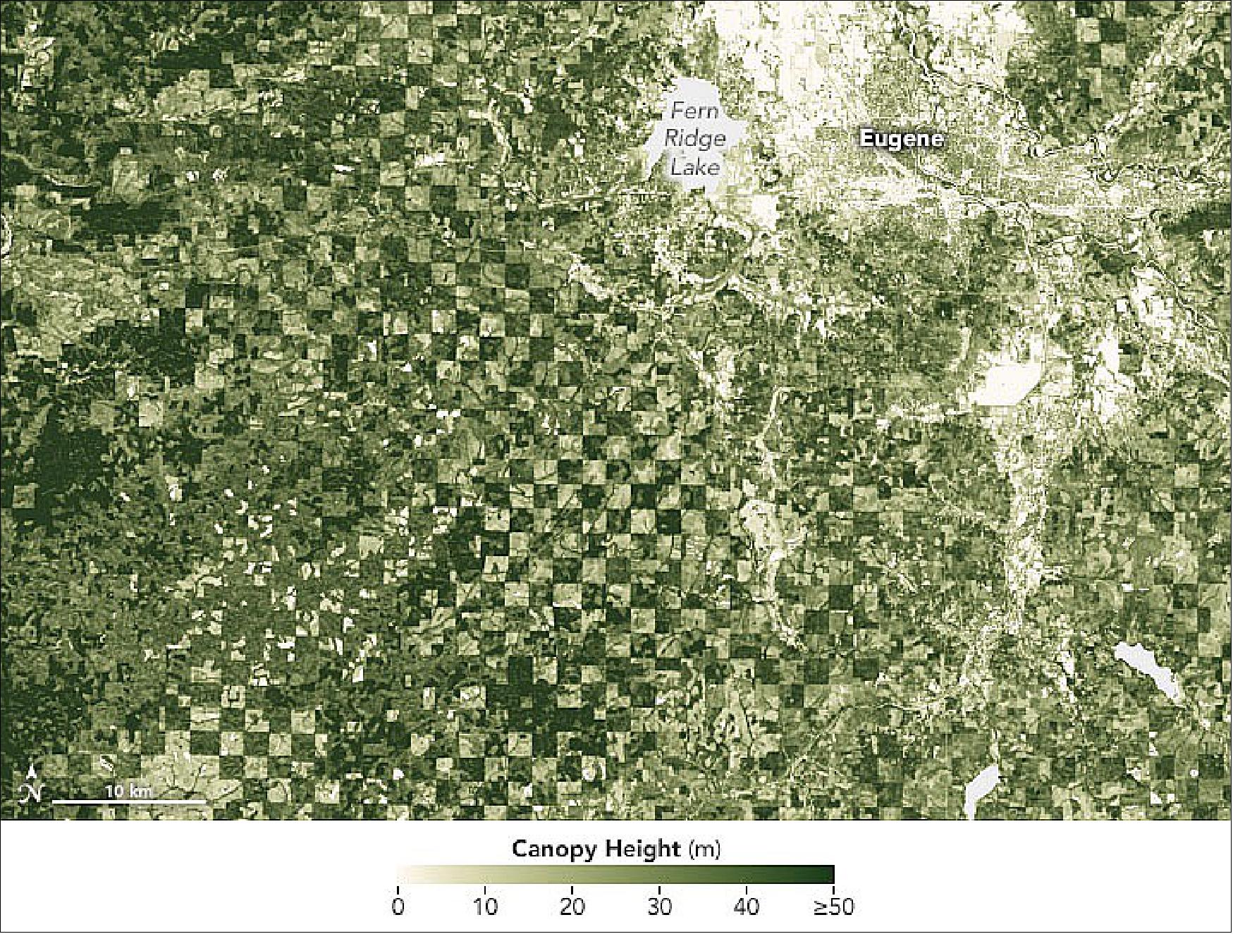 Figure 8: This detailed map shows canopy heights near Eugene, Oregon (in 2020). Notice the checkerboard pattern across the landscape, which reflects land management decisions made in the mid-1800s when the Oregon and California Railroad was granted square-mile parcels of land along a rail line between Portland and California. Now controlled by the U.S. Bureau of Land Management, these parcels remain mostly forested, while the privately owned parcels in between tend to be harvested for timber. Even amid the forested parcels, some trees are quite a bit taller than others (image credit: NASA Earth Observatory)
