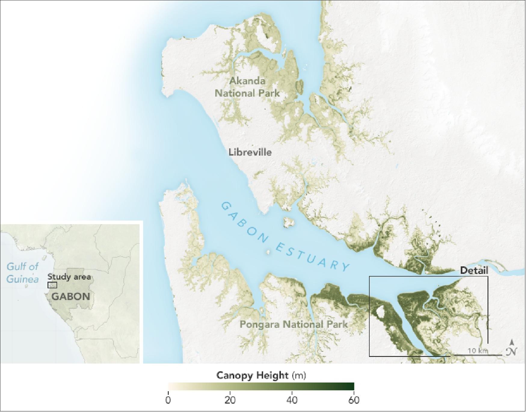 Figure 42: Overview of the mangrove parks in Gabon, Africa, acquired in 2015 by TanDEM-X of DLR (image credit: NASA Earth Observatory, maps by Joshua Stevens, using canopy height data courtesy of SeungKuk Lee/NASA GSFC/NASA Carbon Monitoring Systems. Story by Kathryn Hansen)
